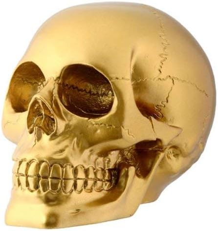 Arany Koponya Fejét Gyűjthető Csontváz Figura Dekoráció