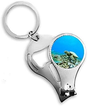 Óceán Tengeri Teknős, Hal Tudomány A Természet Kép Köröm Zimankó Gyűrű Kulcstartó Sörnyitó Clipper