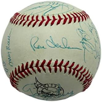 1993 Florida Marlins által Aláírt 28 Csapat Baseball Alakuló Szezon Hoffman HOF - Dedikált Baseball