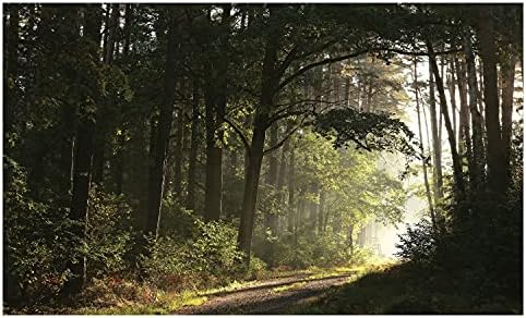 Ambesonne Erdei Kerámia Fogkefe Tartó, Ösvényen Keresztül Az Őszi Erdőben egy Ködös Reggel Rusztikus Vidéki Fotó, Dekoratív
